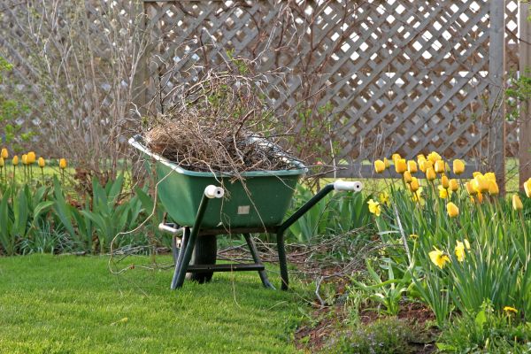 Flower Bed Cleanup Service in Simi Valley