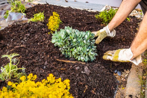 Weeding And Mulching in Simi Valley