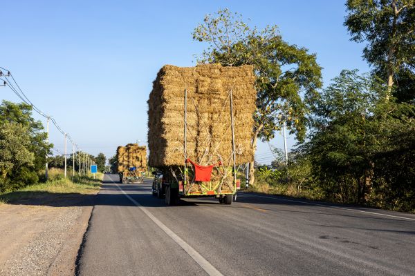 Pine Straw Delivery in Simi Valley