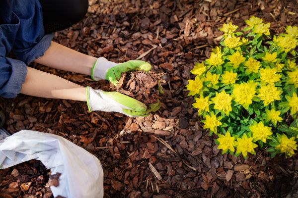 Garden Mulching in Simi Valley