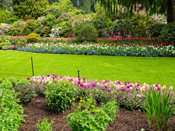 Residential Landscape Design in Simi Valley