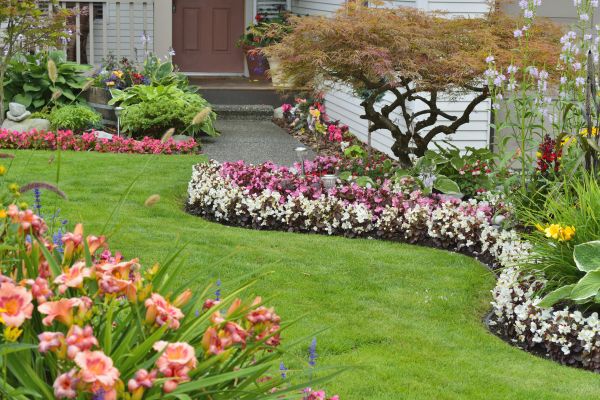 Perennial Landscaping in Simi Valley