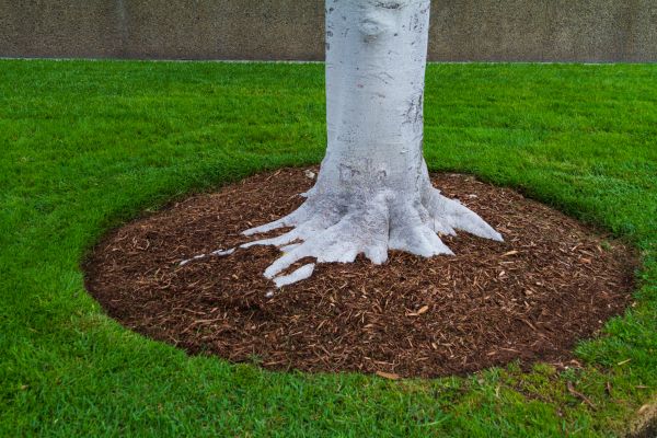 Brown Mulch Installation in Simi Valley