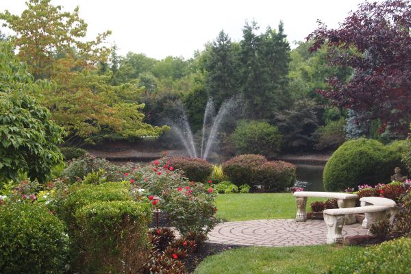 Courtyard Design Service in Simi Valley