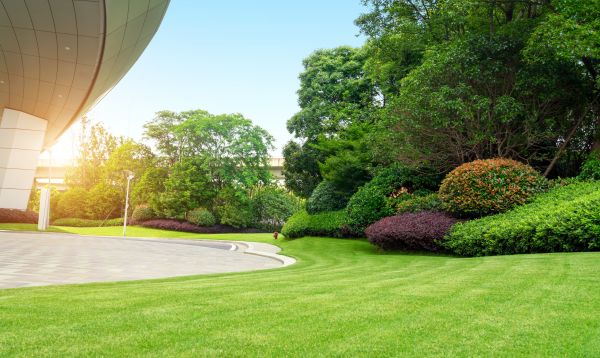 Business Landscape Design in Simi Valley