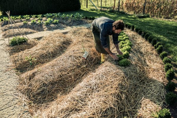 Straw Mulching Service in Simi Valley