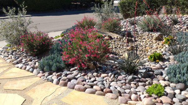 Xeriscape Landscaping in Simi Valley