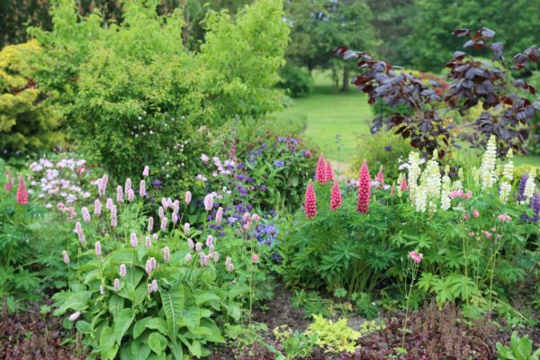 Flower Bed Planting in Simi Valley