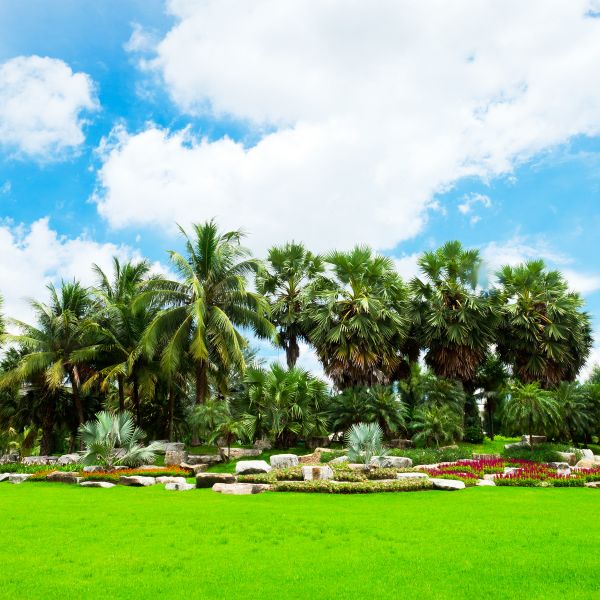 Tropical Landscaping in Simi Valley