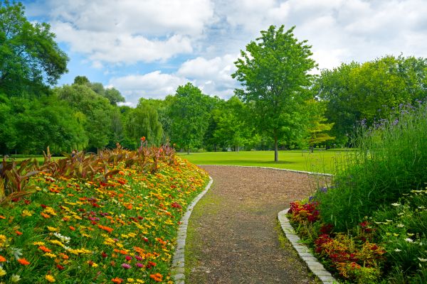 Park Landscaping in Simi Valley