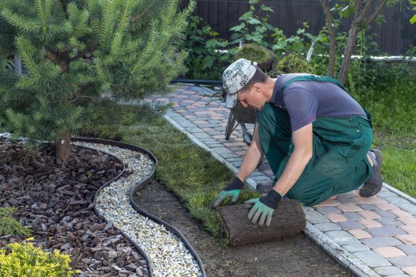 Landscaping Modification in Simi Valley