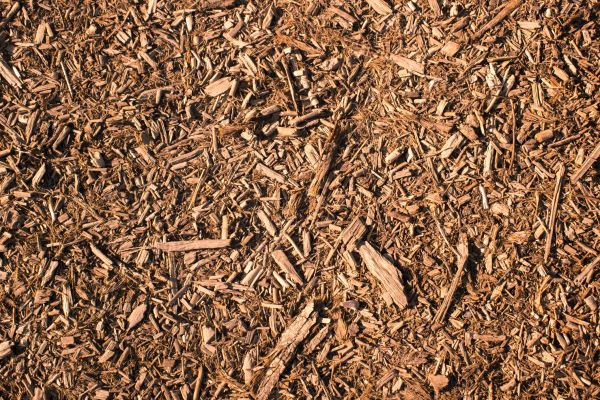 Wood Chips Removal in Simi Valley