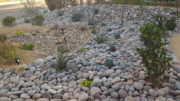 Yard Xeriscaping in Simi Valley