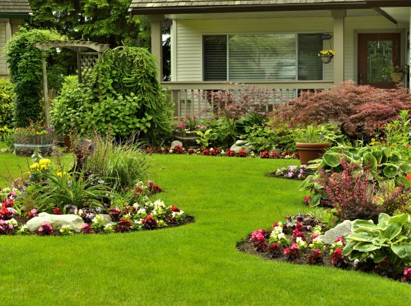 Flower Garden Planting in Simi Valley