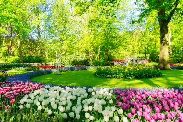 Flower Landscaping in Simi Valley