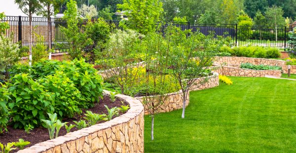 Yard Makeover Service in Simi Valley