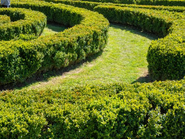 Bush Landscaping in Simi Valley