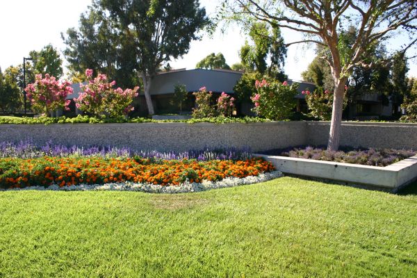 Commercial Landscape Service in Simi Valley