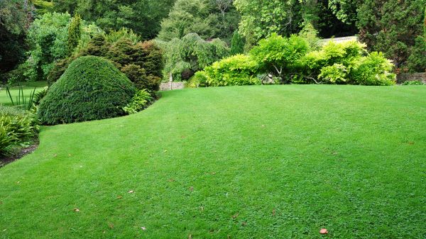 Commercial Landscape Design in Simi Valley