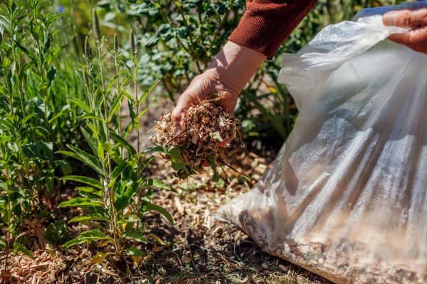 Wood Mulch Installation in Simi Valley