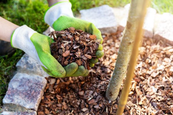 Tree Bark Delivery in Simi Valley