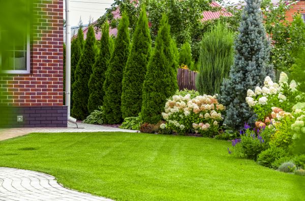 Spring Landscaping in Simi Valley