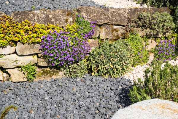 Landscaping Rocks Installation in Simi Valley