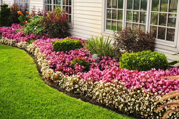 Garden Landscape Design in Simi Valley