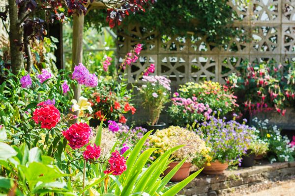 Spring Garden Maintenance in Simi Valley