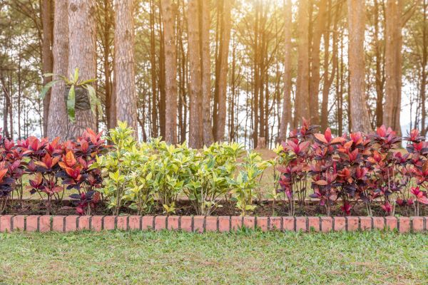 Small Garden Landscaping in Simi Valley