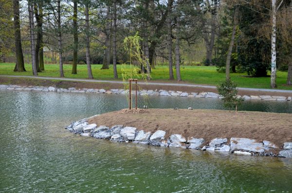 Pond Landscaping Service in Simi Valley