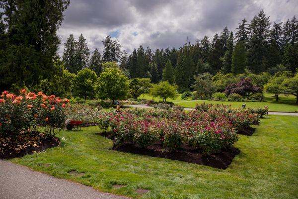 Flower Garden Landscaping in Simi Valley