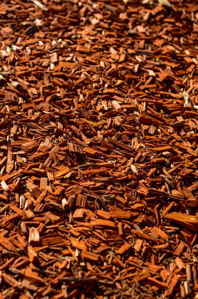 Cedar Mulch Spreading in Simi Valley