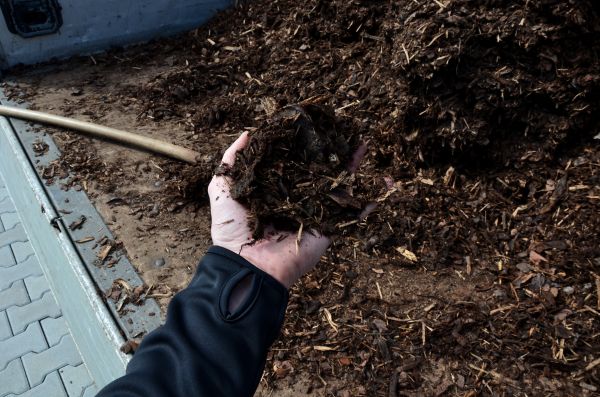 Condo Mulching in Simi Valley