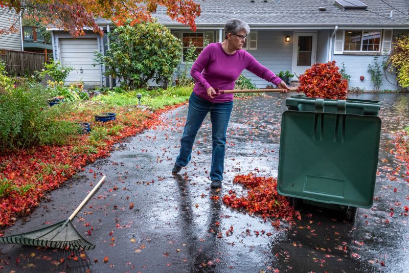 Seasonal Leaf Disposal