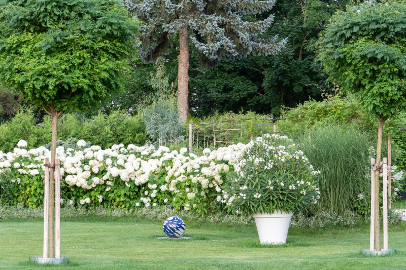 Completed Landscape with Lawn and Trees