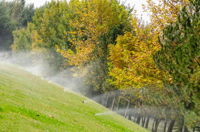 Sloped Yard Landscaping